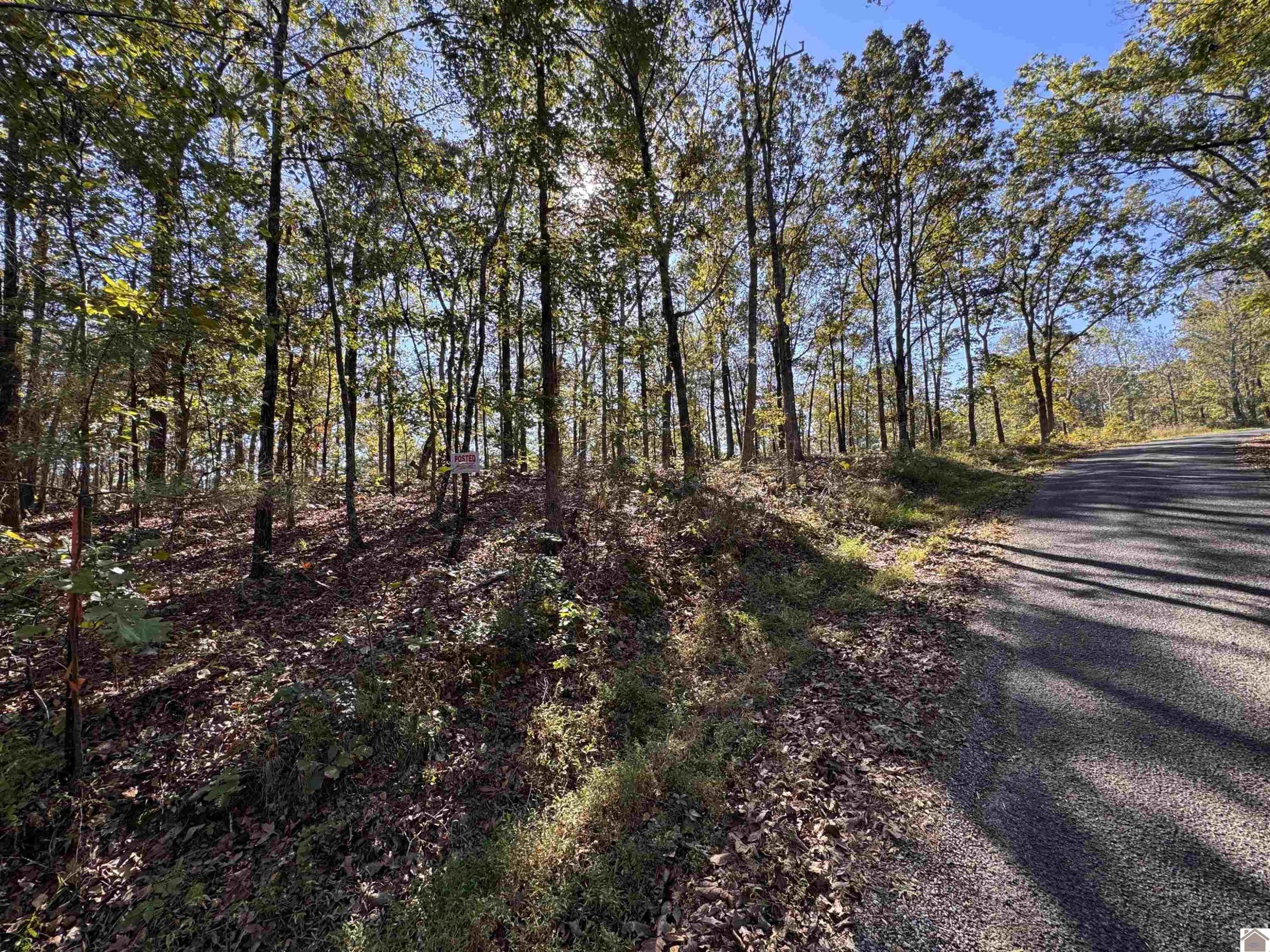 103-0-0018-c Ridge Road Property Photo 3