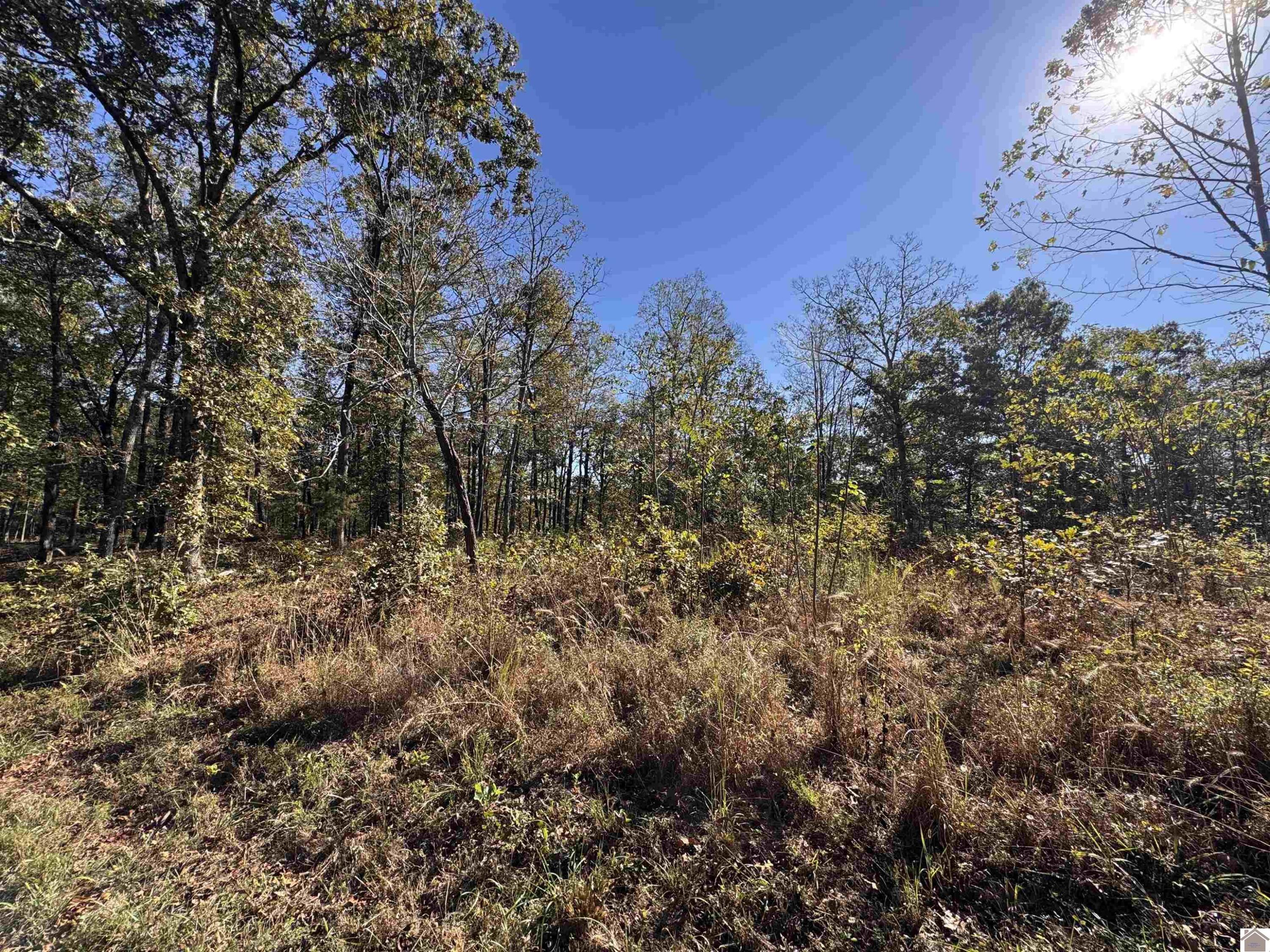 103-0-0018-c Ridge Road Property Photo 4