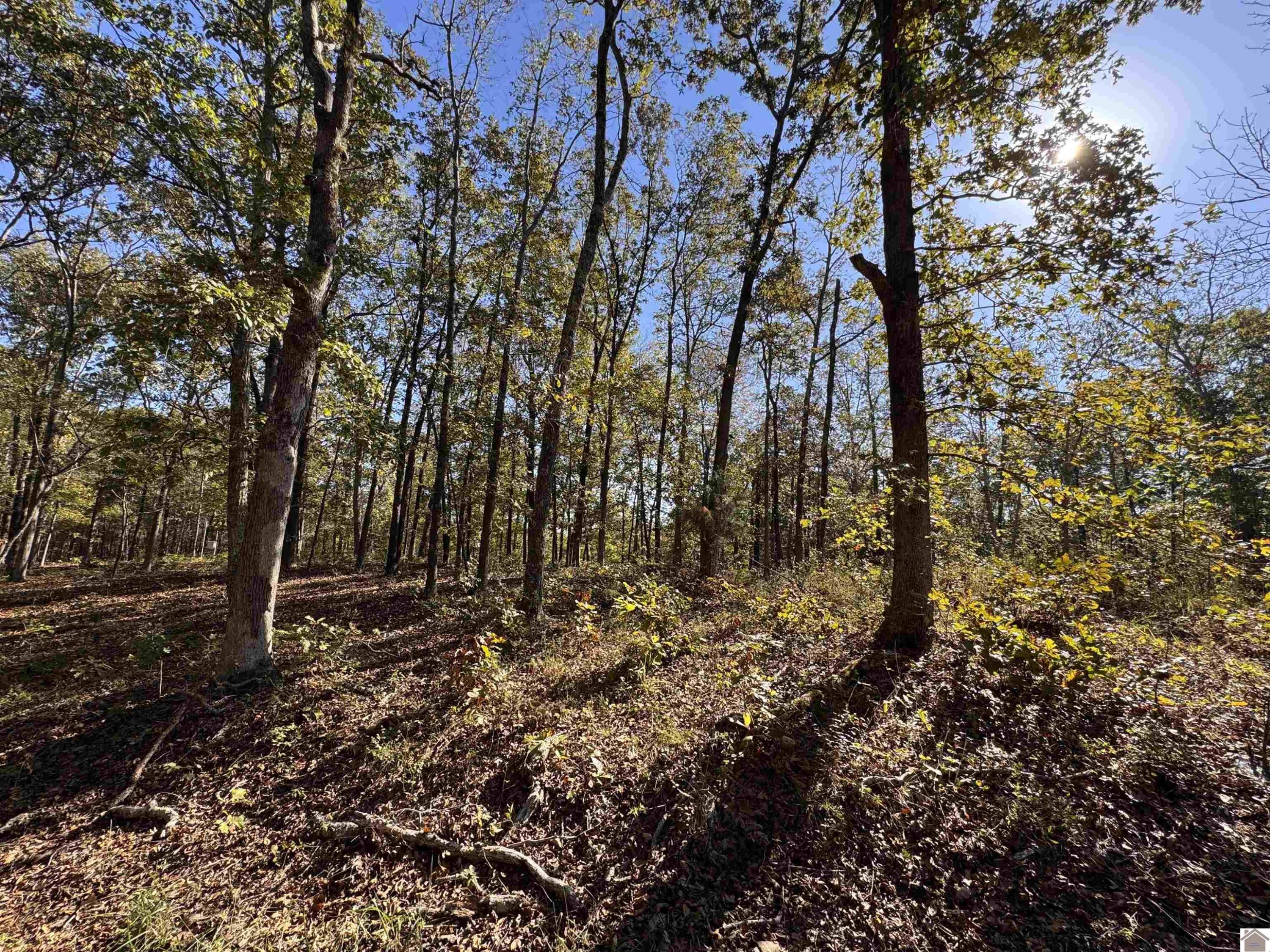 103-0-0018-c Ridge Road Property Photo 5