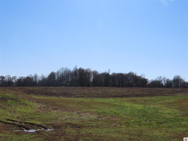 St Rt 45 S Boyd Property Photo 1