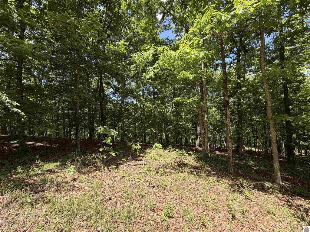 102-b-0029-30-31 Daniel Ln Lane Property Photo 4