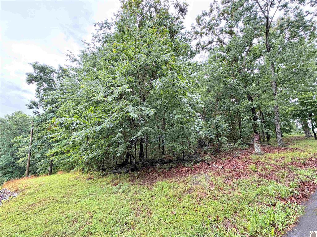 102-b-0029-30-31 Daniel Ln Lane Property Photo 5
