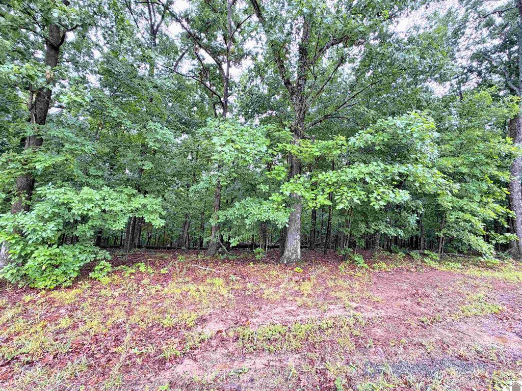 102-b-0029-30-31 Daniel Ln Lane Property Photo 6