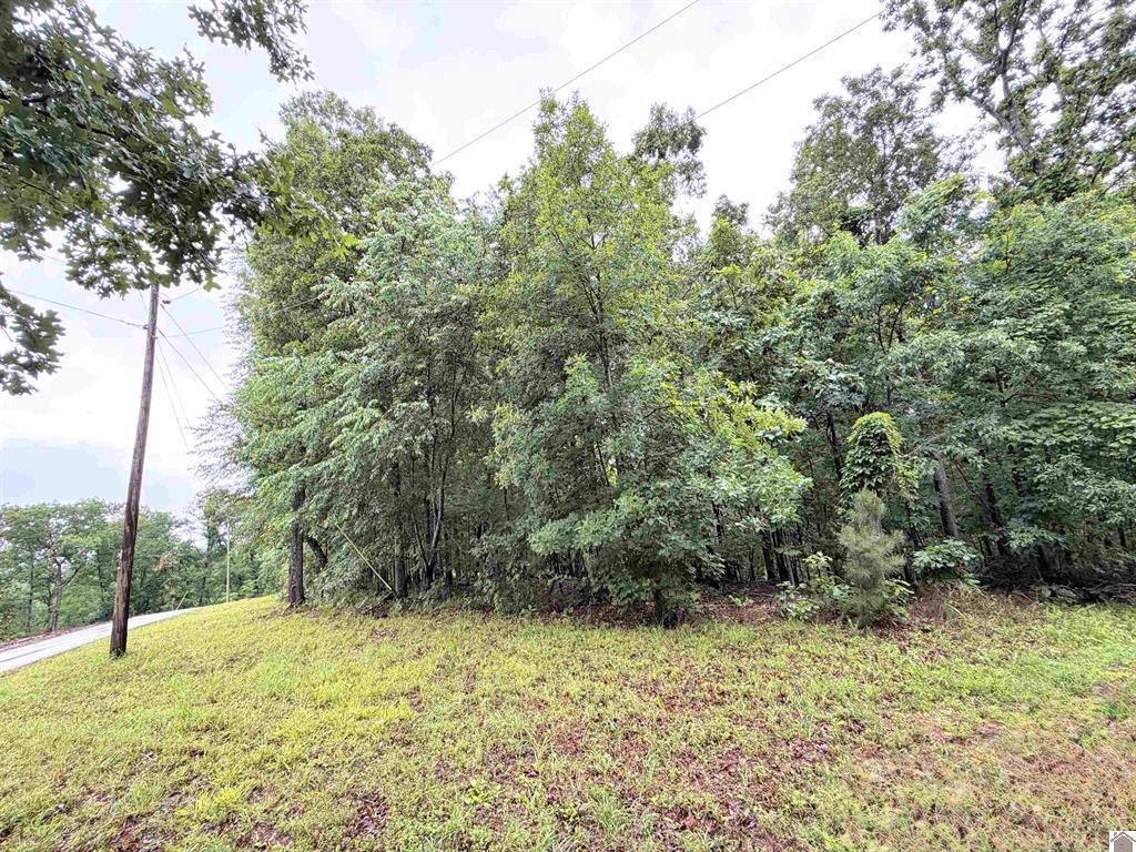 102-b-0029-30-31 Daniel Ln Lane Property Photo 8