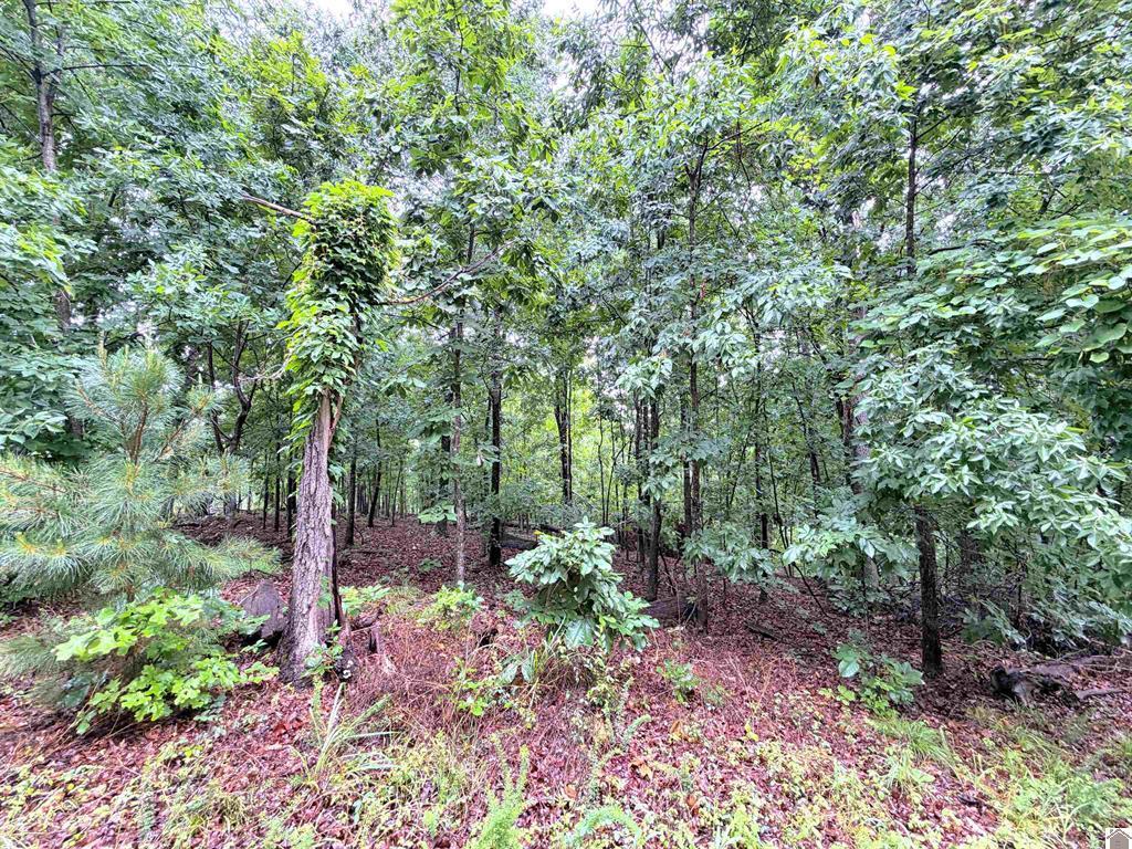 102-b-0029-30-31 Daniel Ln Lane Property Photo 9