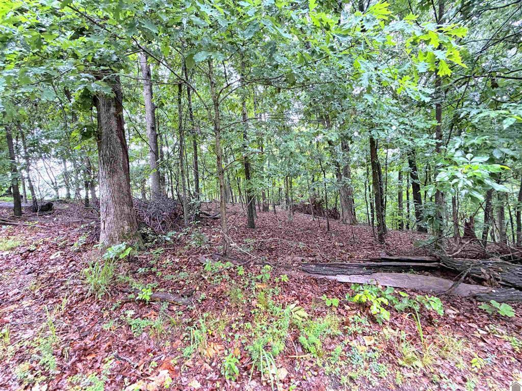 102-b-0029-30-31 Daniel Ln Lane Property Photo 10