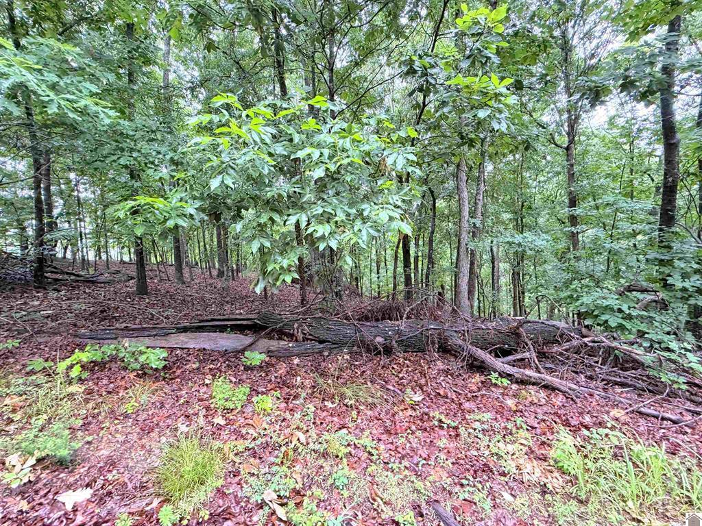 102-b-0029-30-31 Daniel Ln Lane Property Photo 11