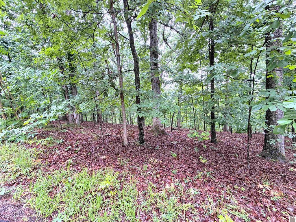 102-b-0029-30-31 Daniel Ln Lane Property Photo 12