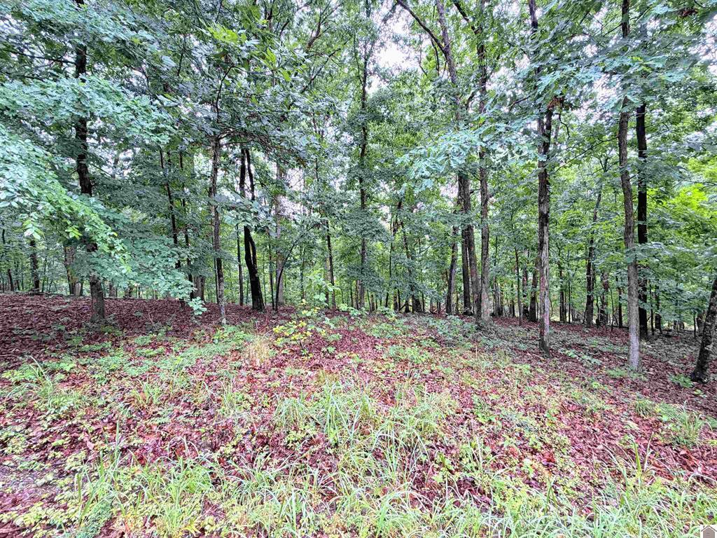 102-b-0029-30-31 Daniel Ln Lane Property Photo 13