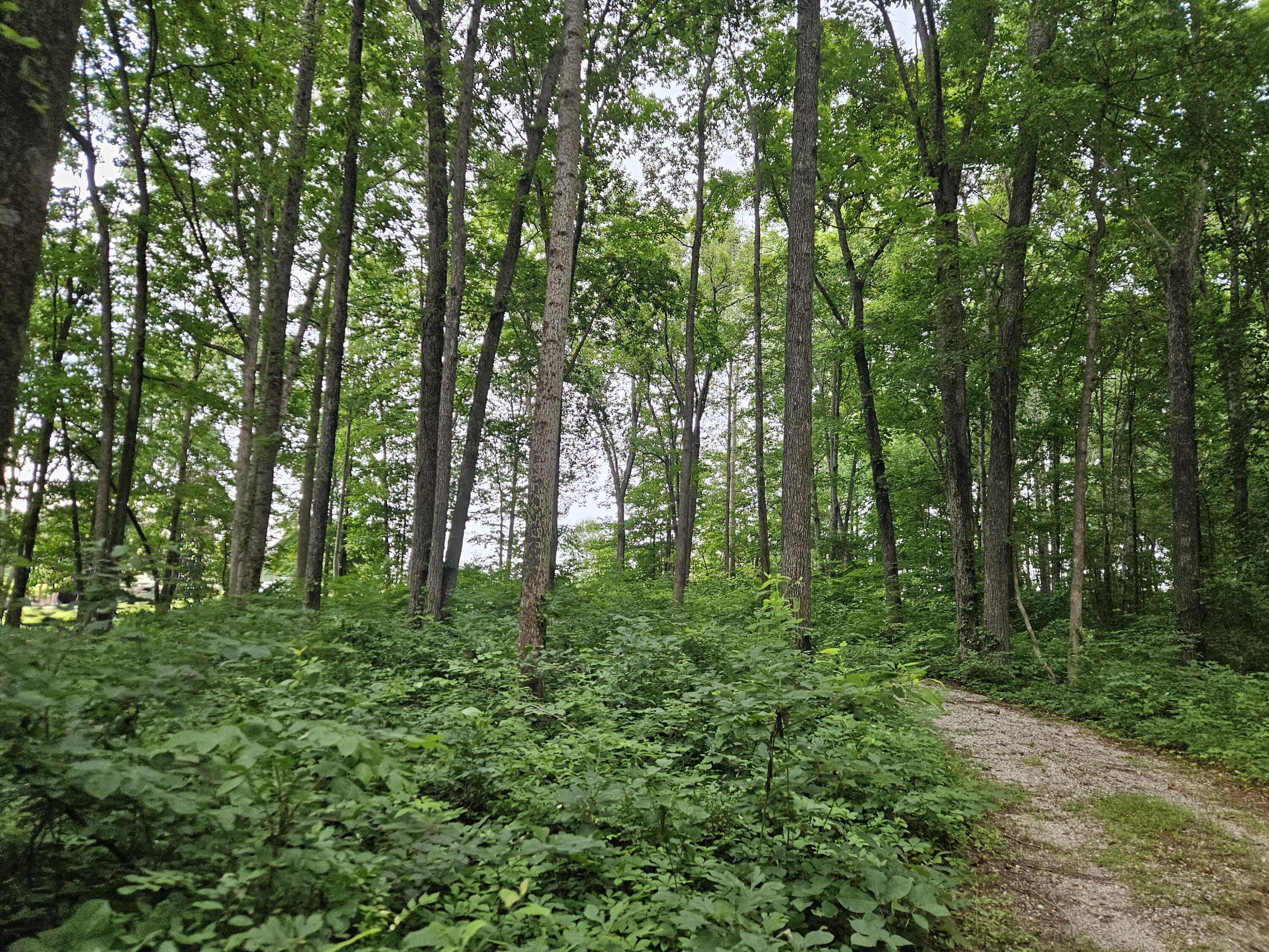 2431 Ky 501 Property Photo 45
