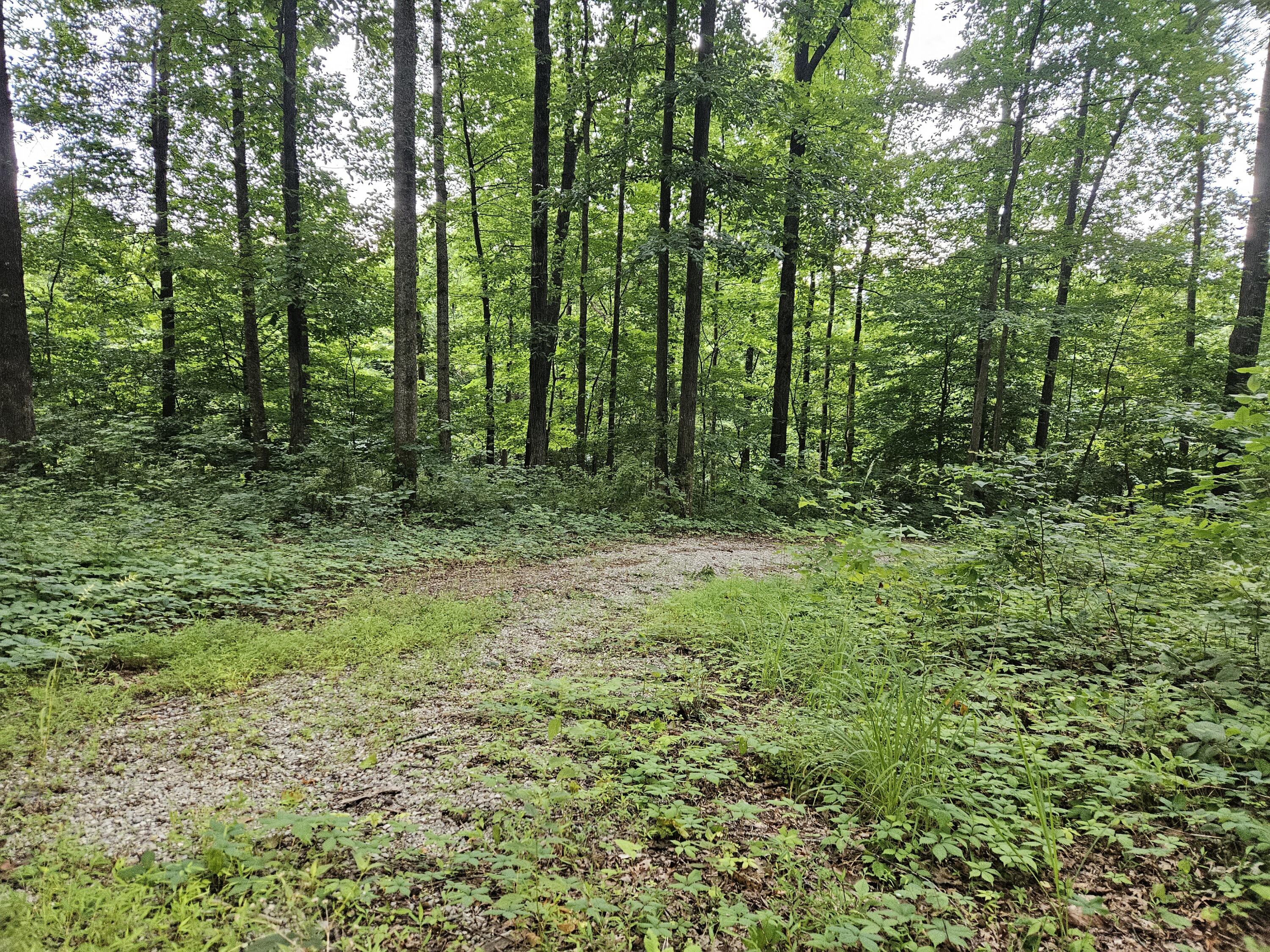 2431 Ky 501 Property Photo 46