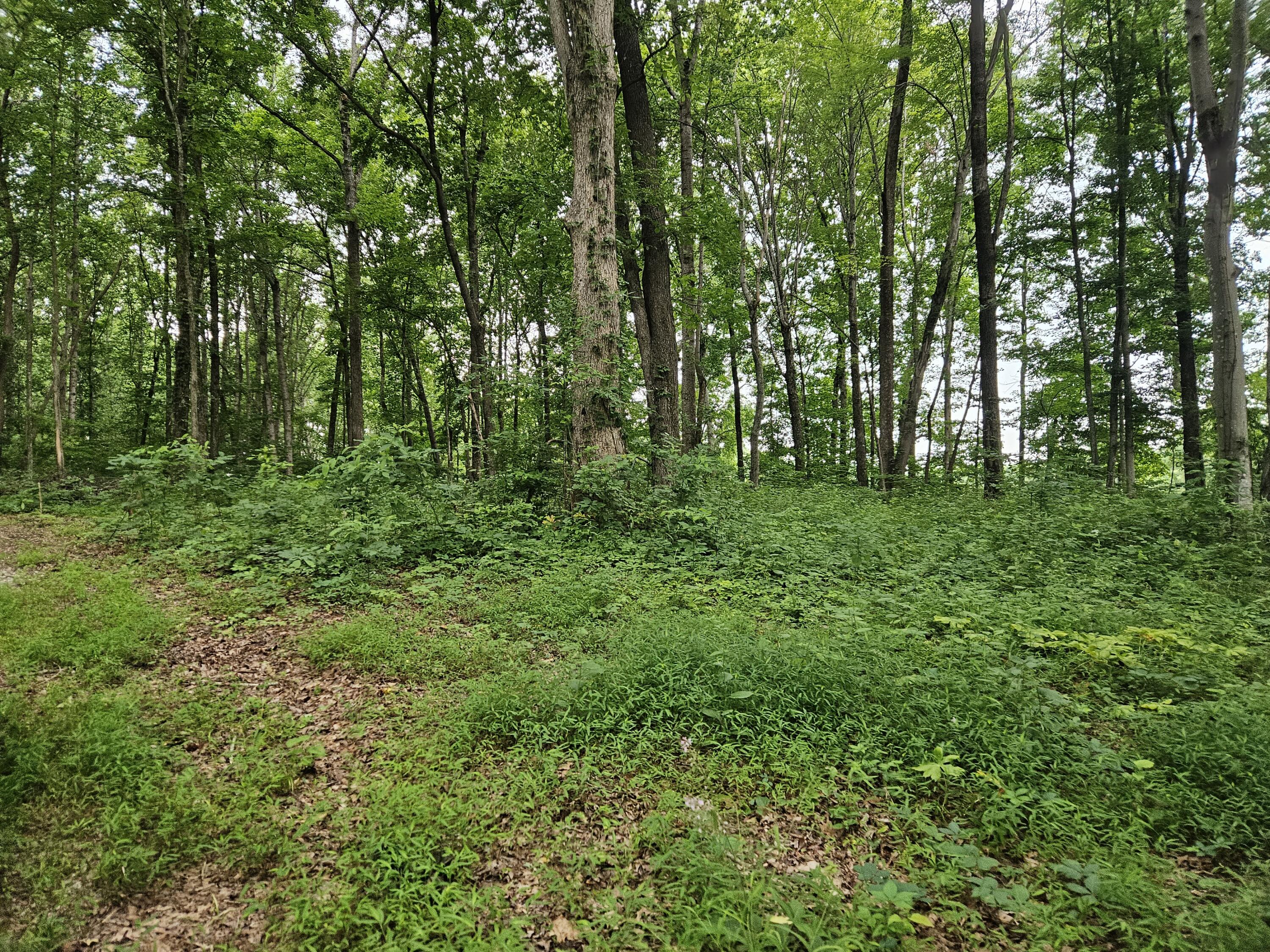 2431 Ky 501 Property Photo 47
