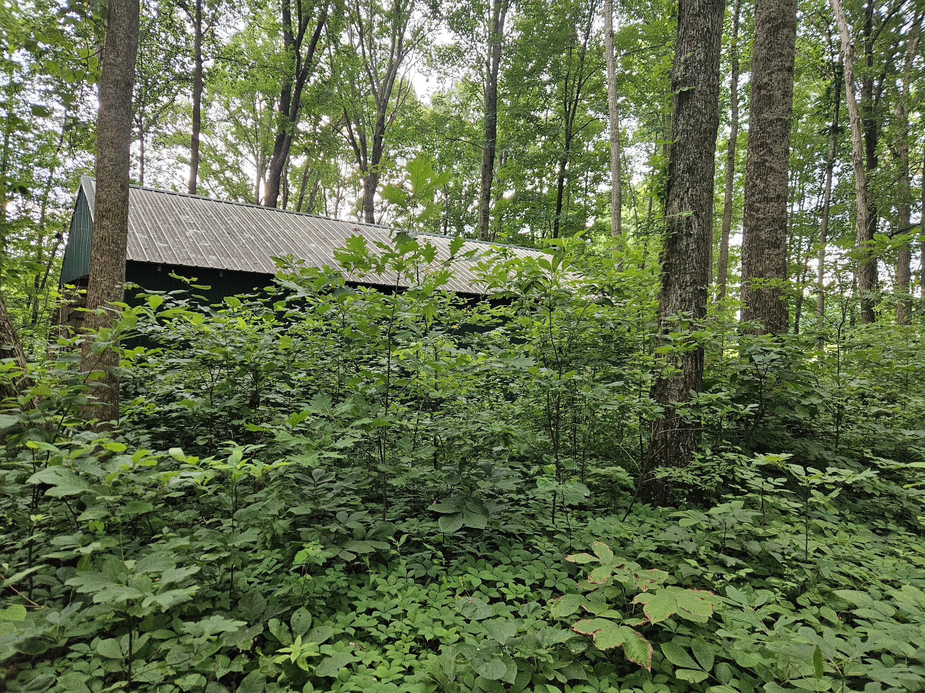 2431 Ky 501 Property Photo 50