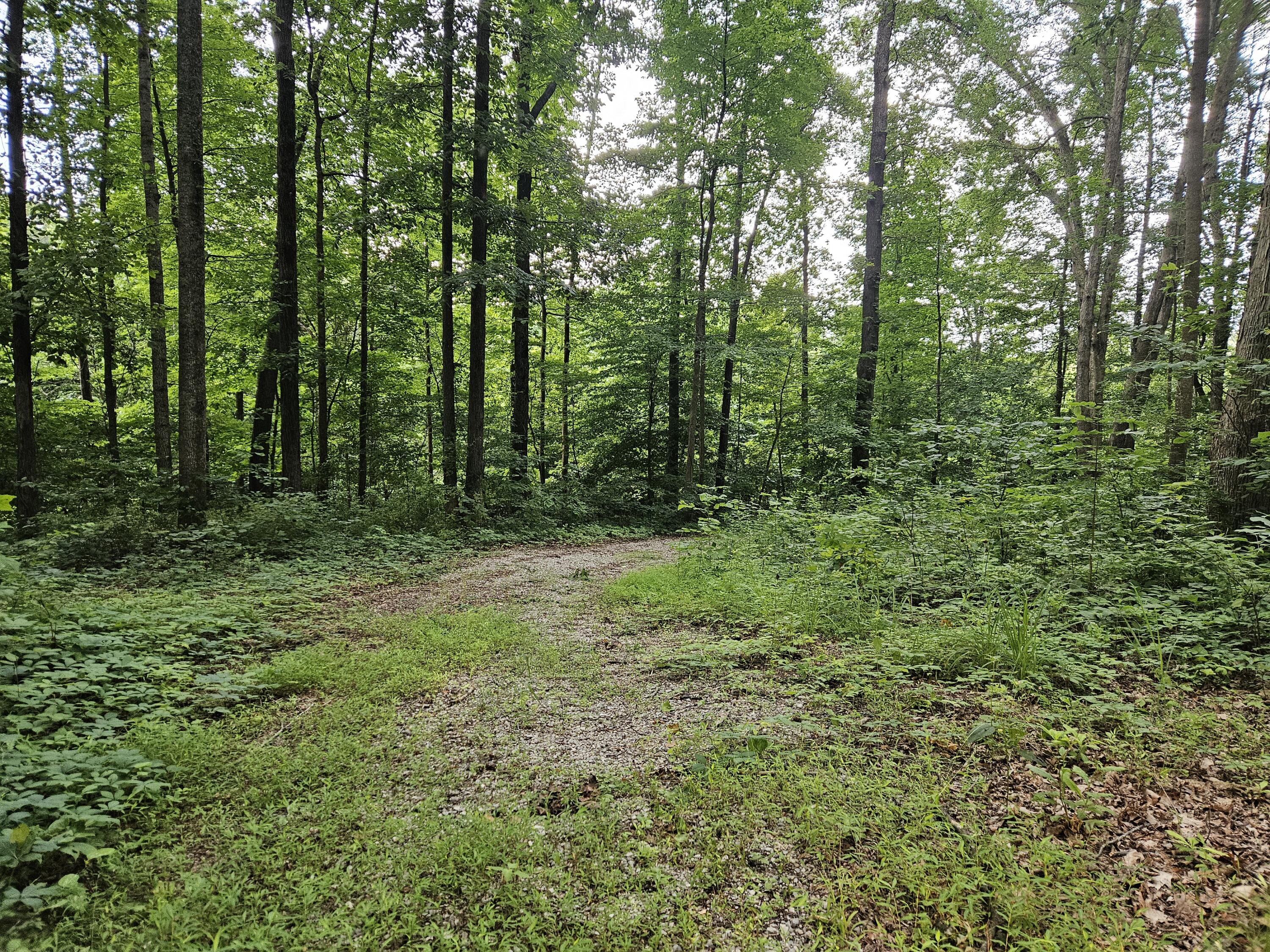 2431 Ky 501 Property Photo 51