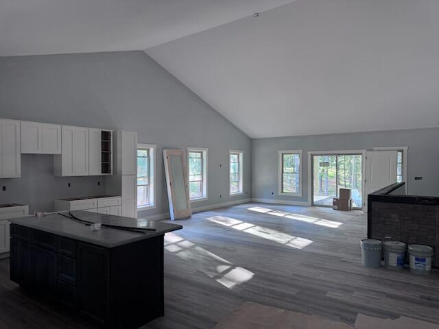 115 Serenity Village Drive Property Photo 16