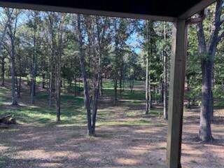 115 Serenity Village Drive Property Photo 24