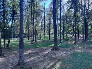 115 Serenity Village Drive Property Photo 25