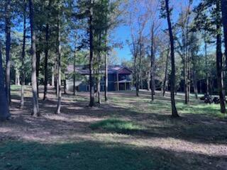 115 Serenity Village Drive Property Photo 26
