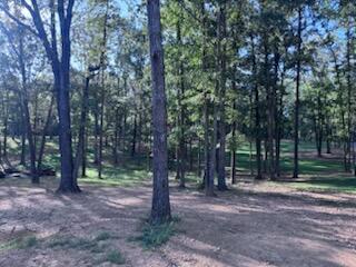 115 Serenity Village Drive Property Photo 27
