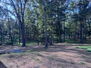 115 Serenity Village Drive Property Photo 28