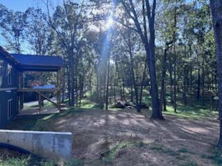 115 Serenity Village Drive Property Photo 29