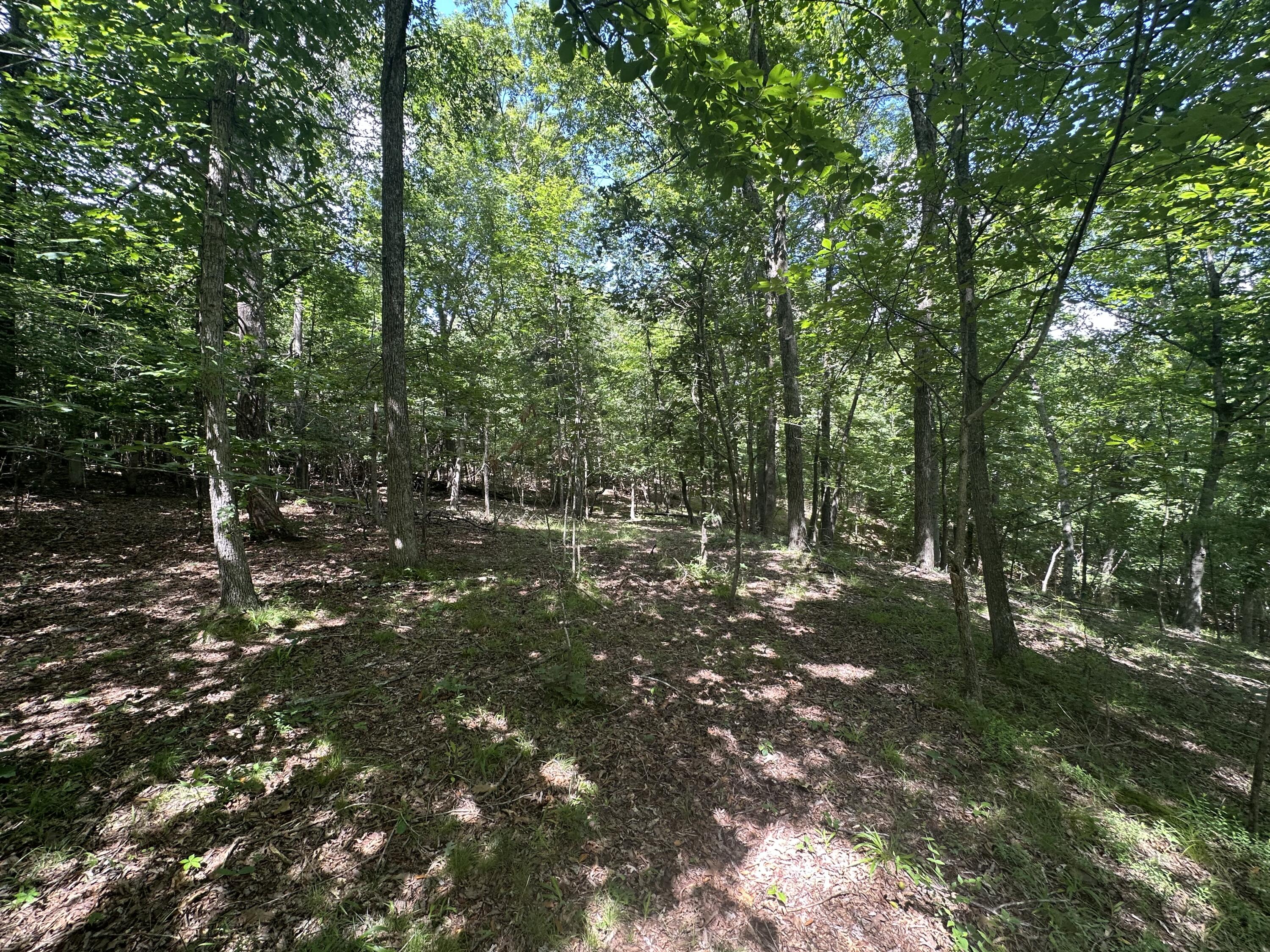 9999 Cannon Road Property Photo 17