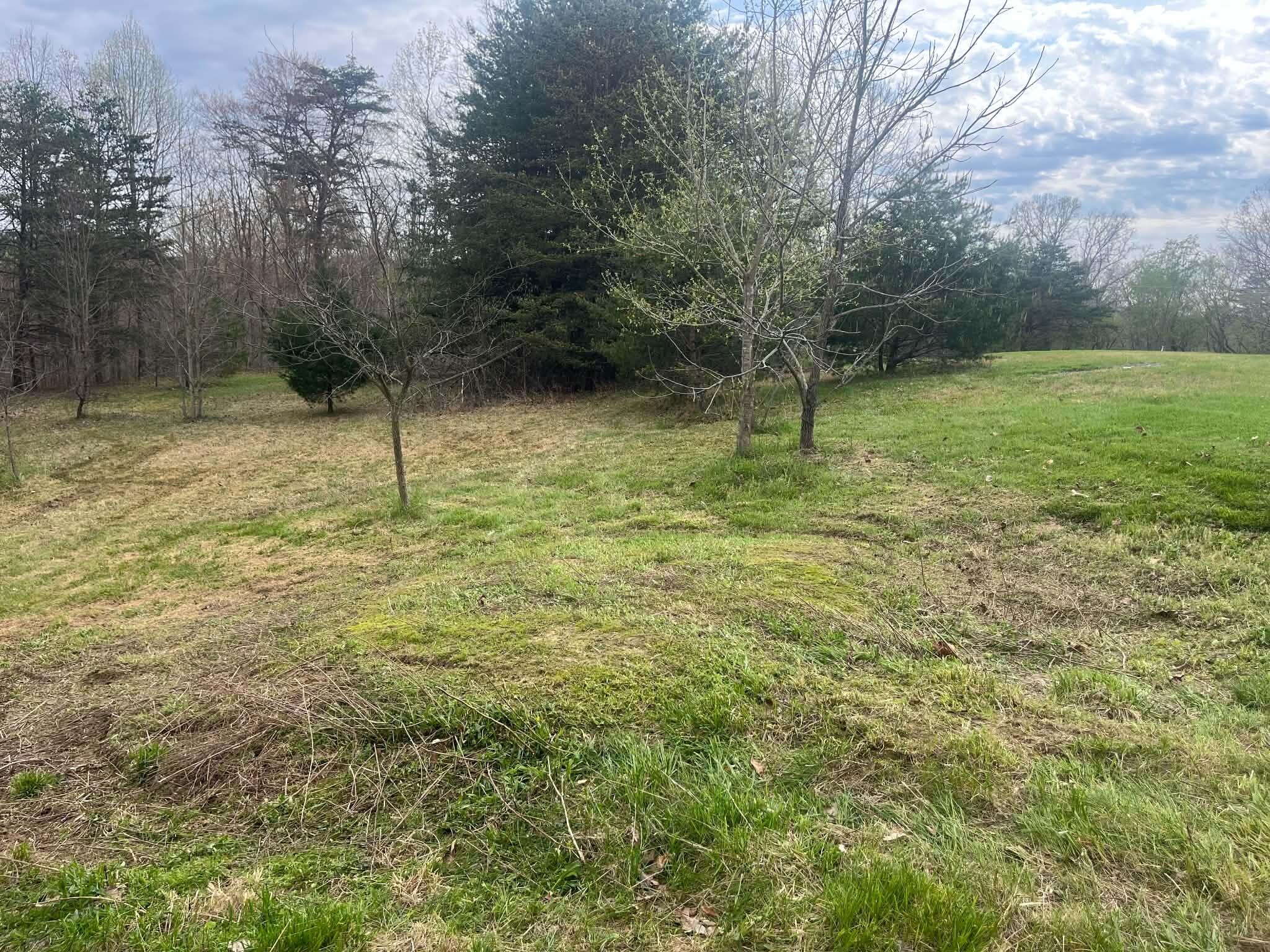 2215 Dug Hill Road Property Photo 4