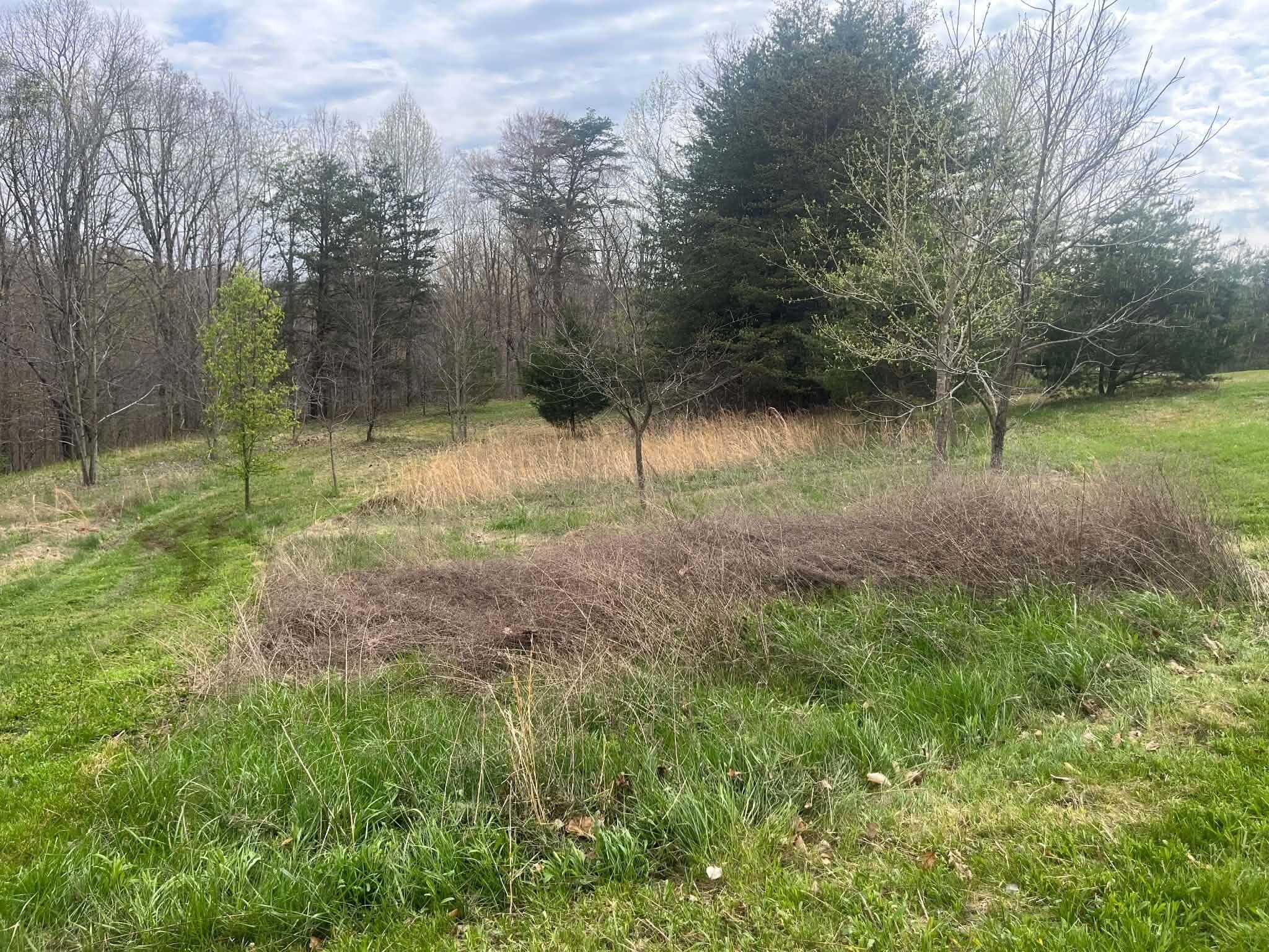 2215 Dug Hill Road Property Photo 6