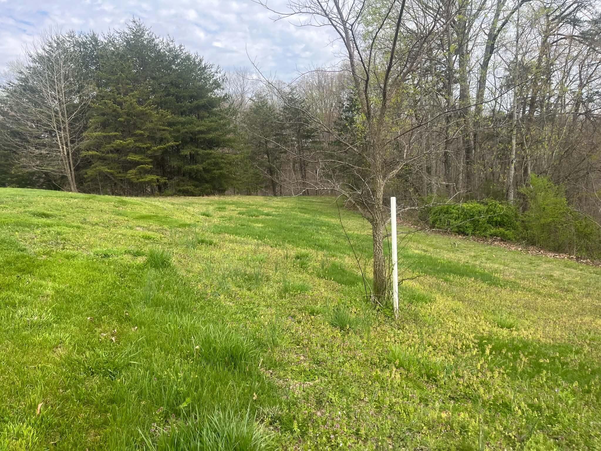 2215 Dug Hill Road Property Photo 7