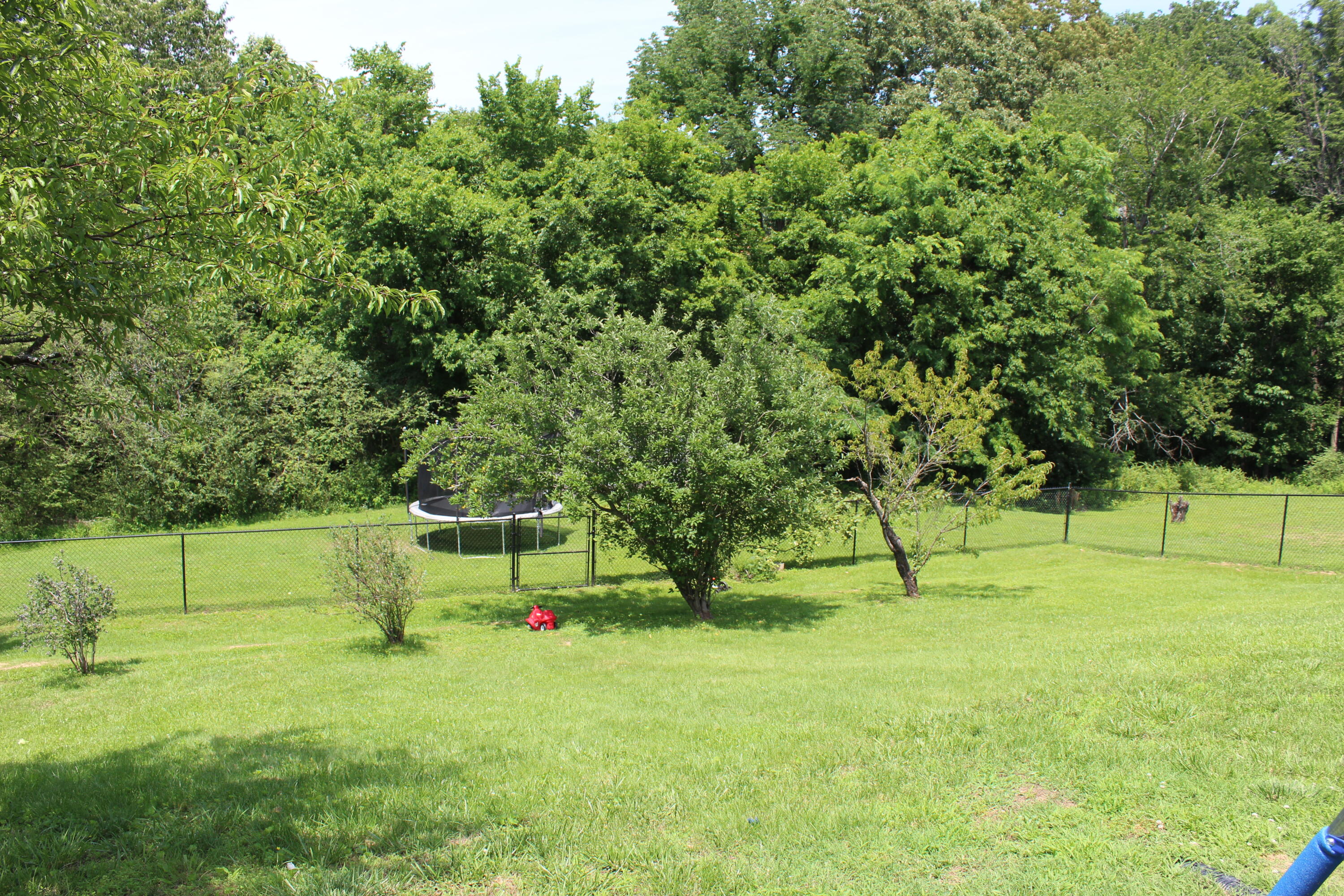 1131 Bleich Road Property Photo 27