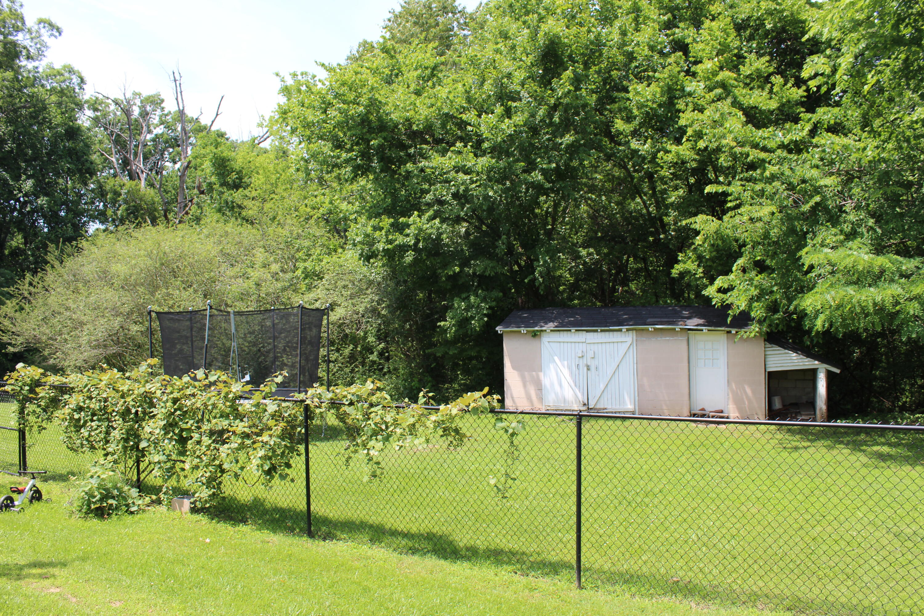 1131 Bleich Road Property Photo 29
