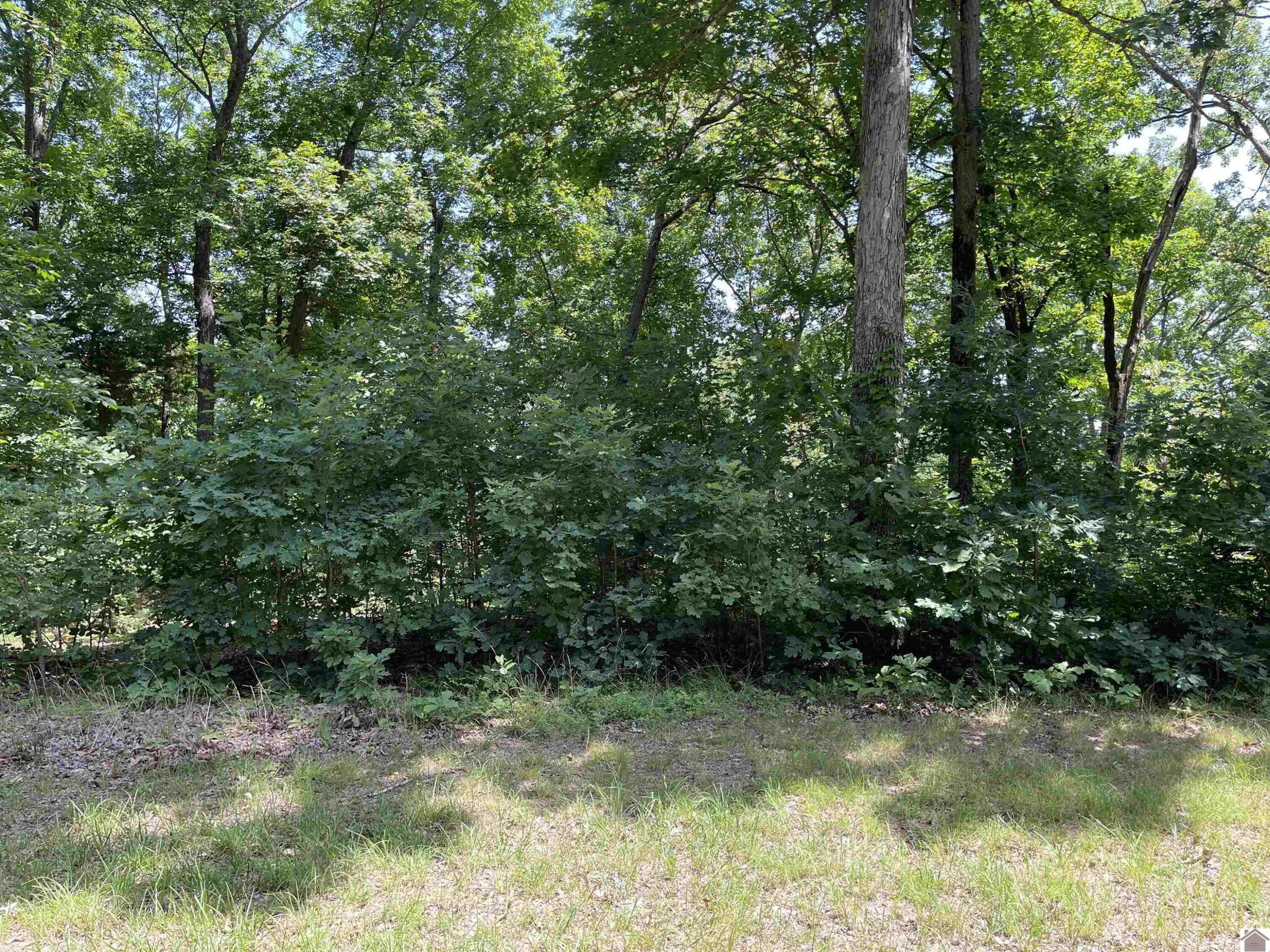 0000 Hawkridge Road Lot 41 Property Photo 10