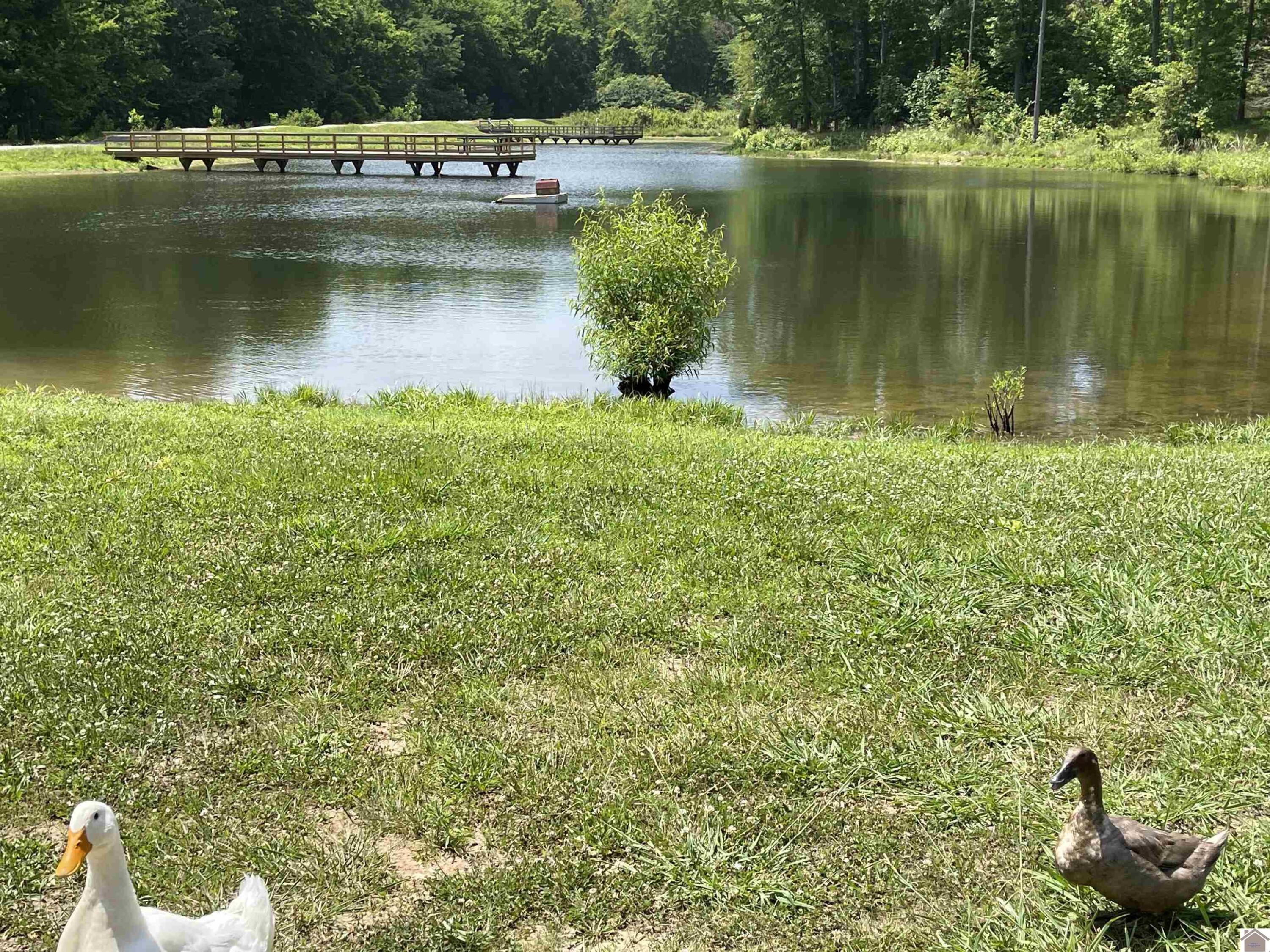 0000 Hawkridge Road Lot 41 Property Photo 15