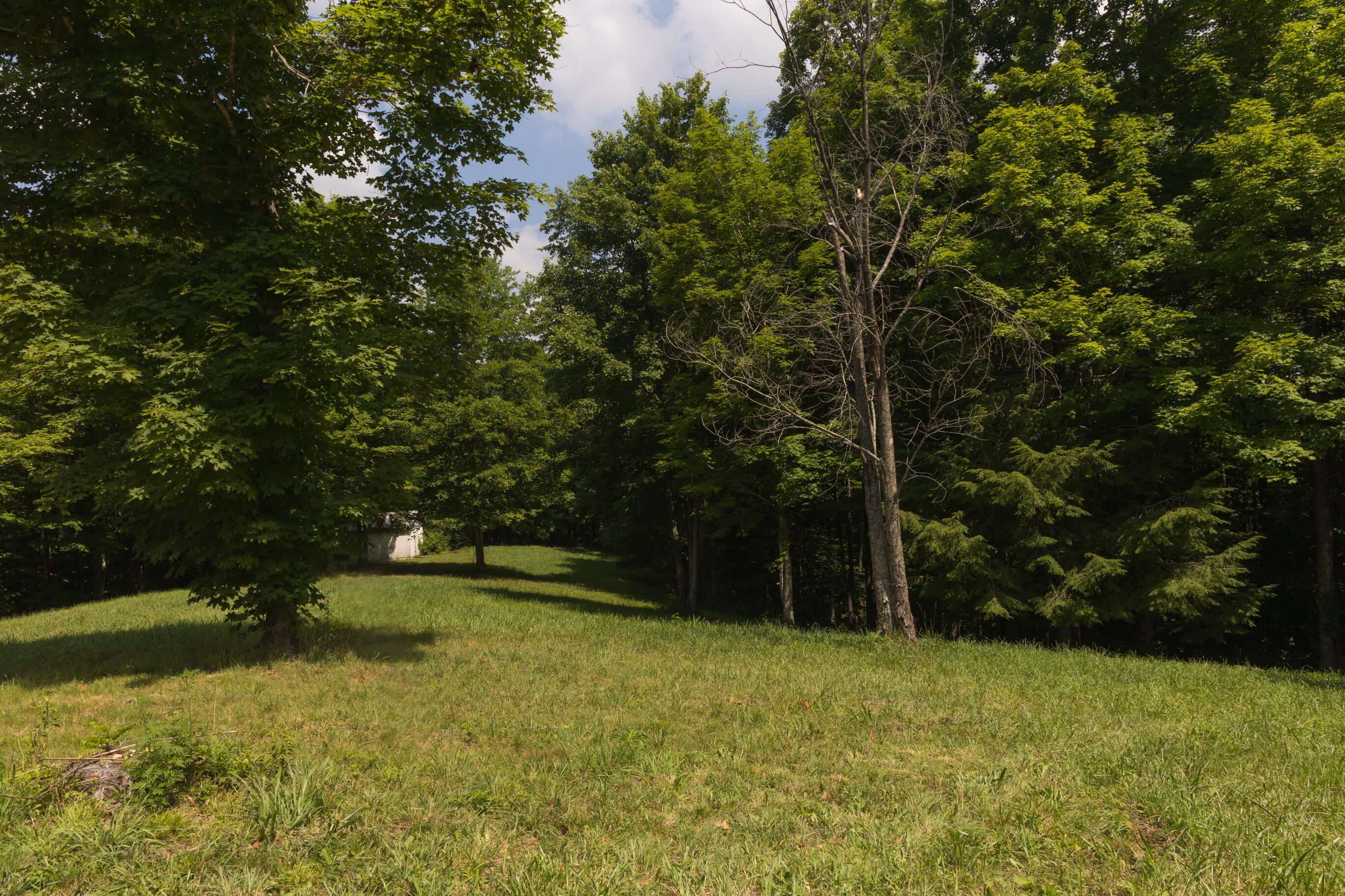 159 Stiltner Lane Property Photo 25