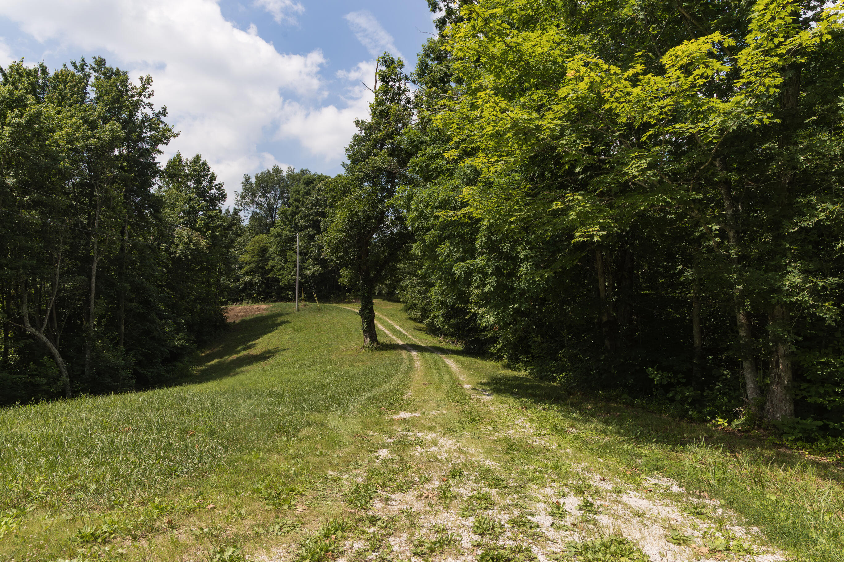 159 Stiltner Lane Property Photo 29