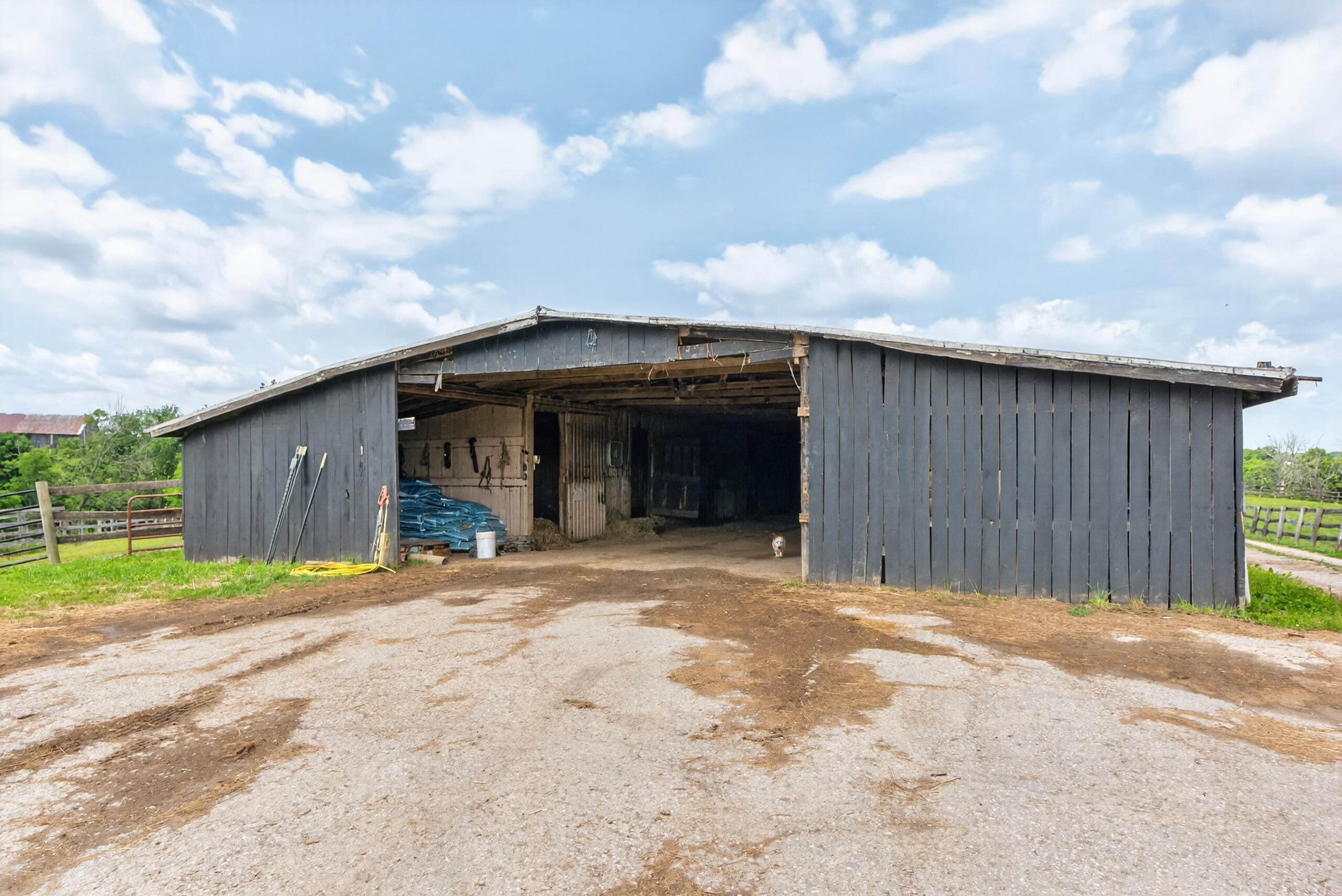 493 Levy Road Property Photo 35