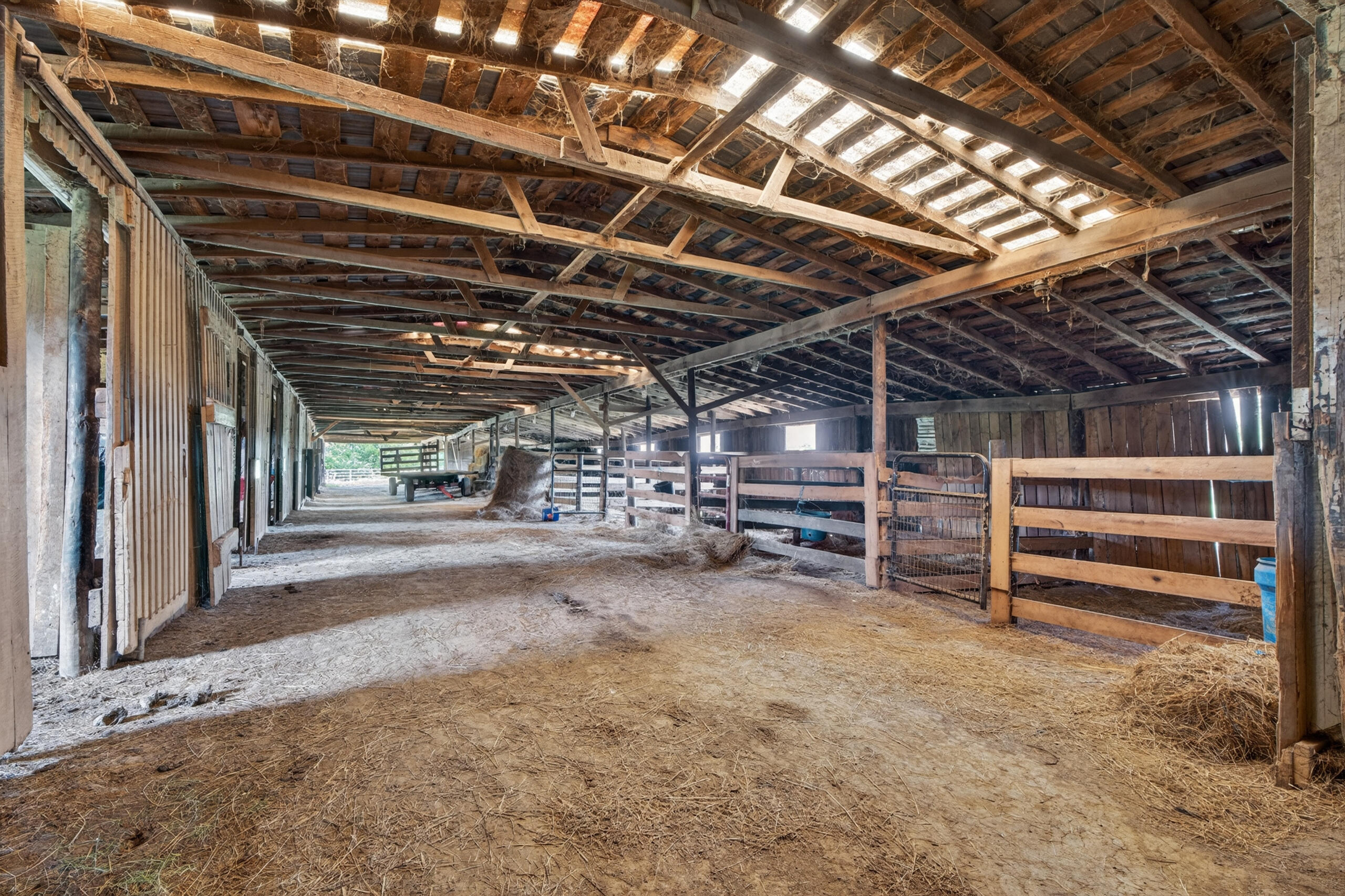 493 Levy Road Property Photo 37