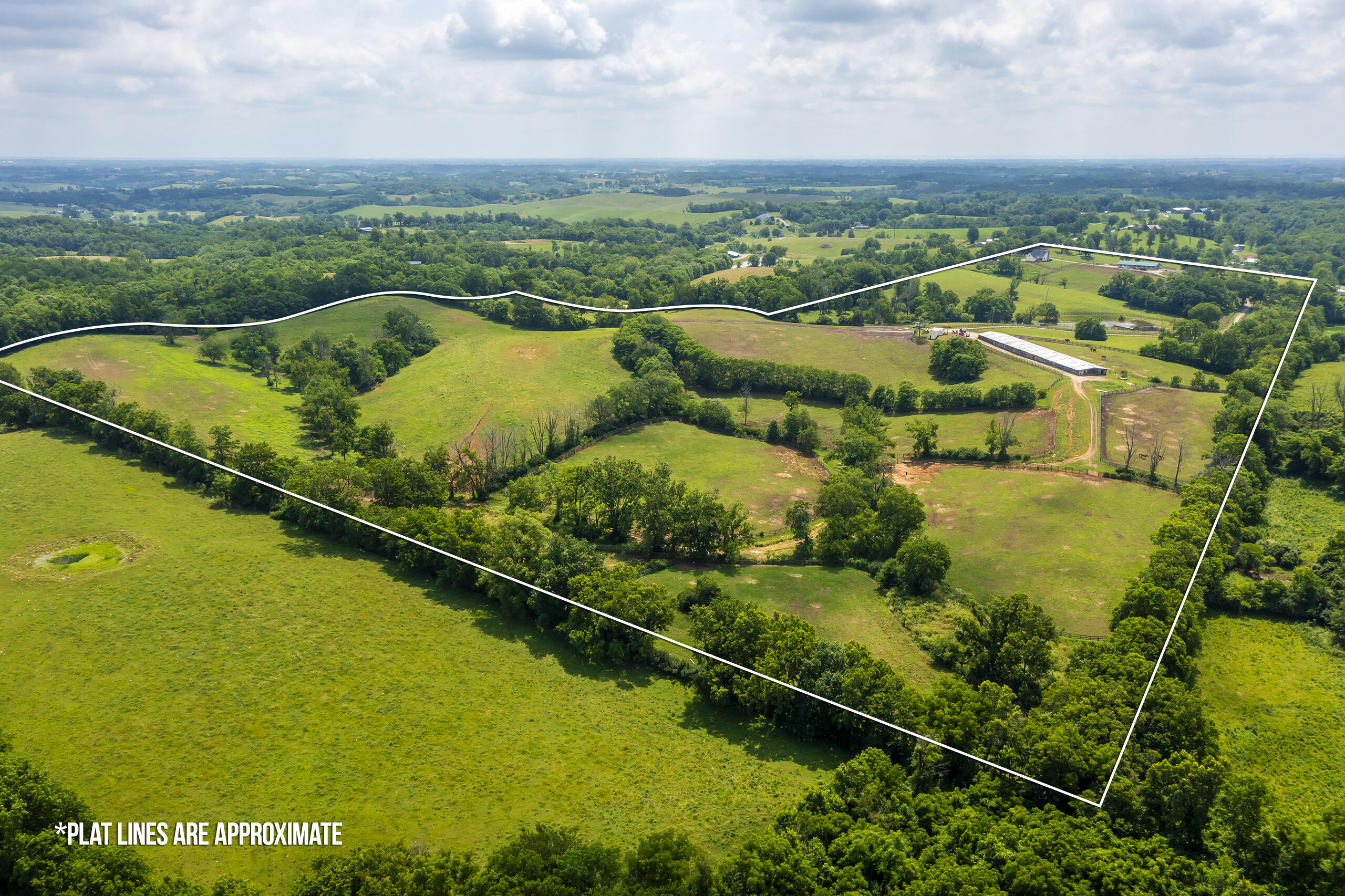 493 Levy Road Property Photo 45