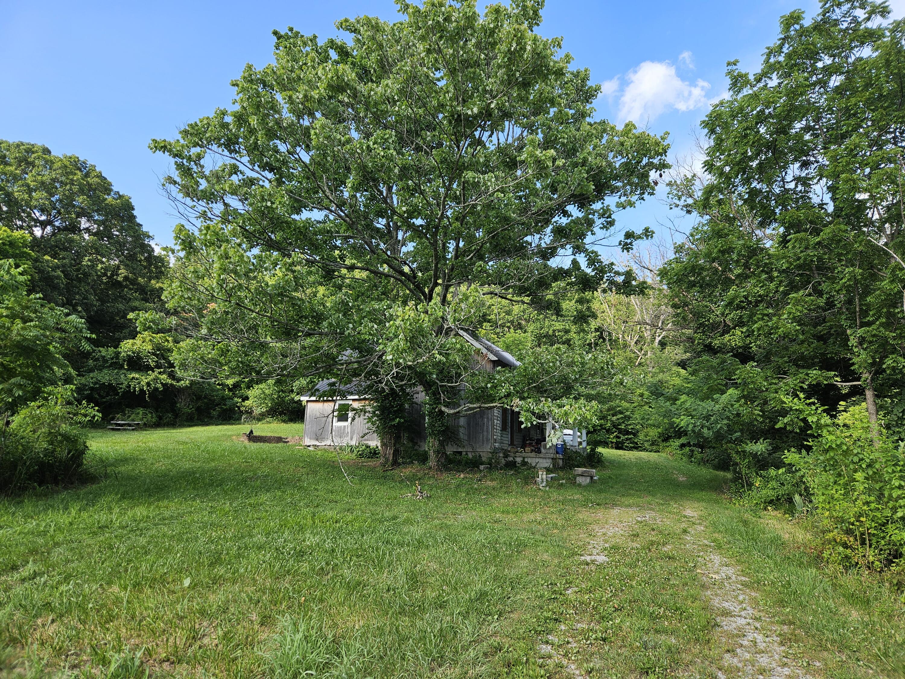 3817 Kentucky 501 Property Photo 6