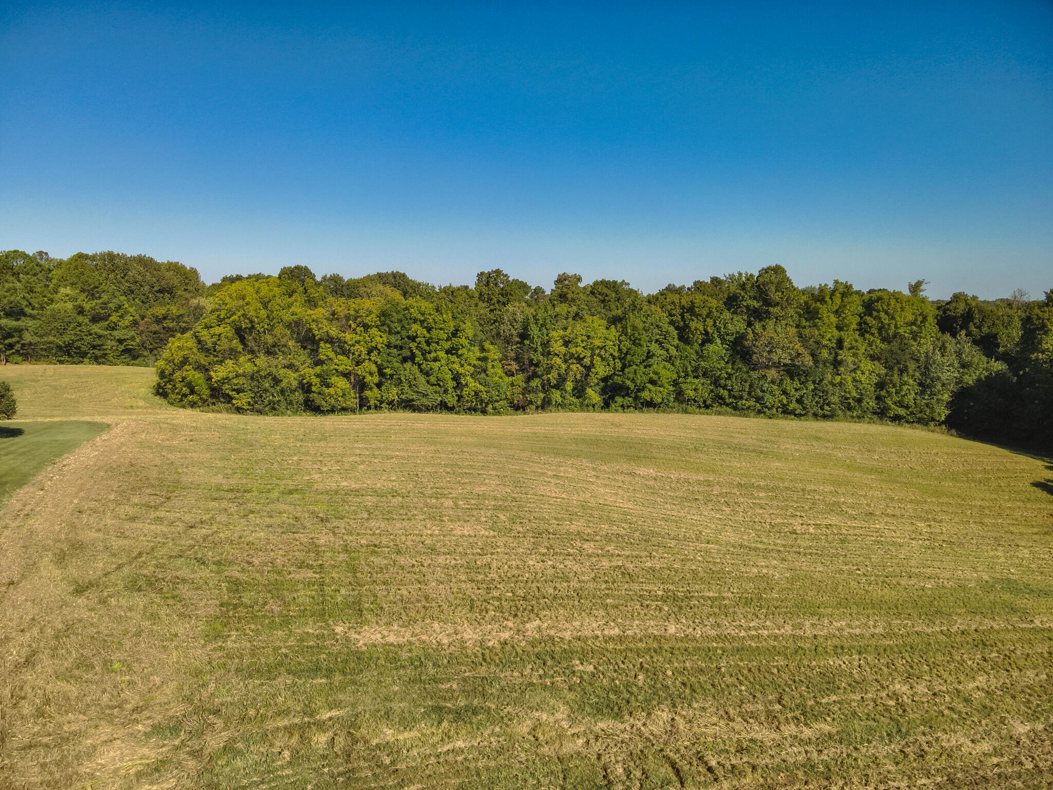 942 Crews Road Property Photo 5