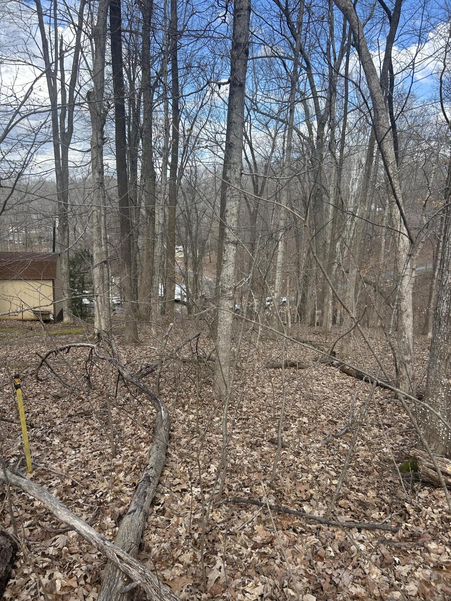 Rockastle Shores Ferrell Circle 26 I Property Photo 3