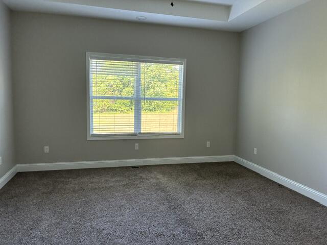 205 Fairview Drive Property Photo 19