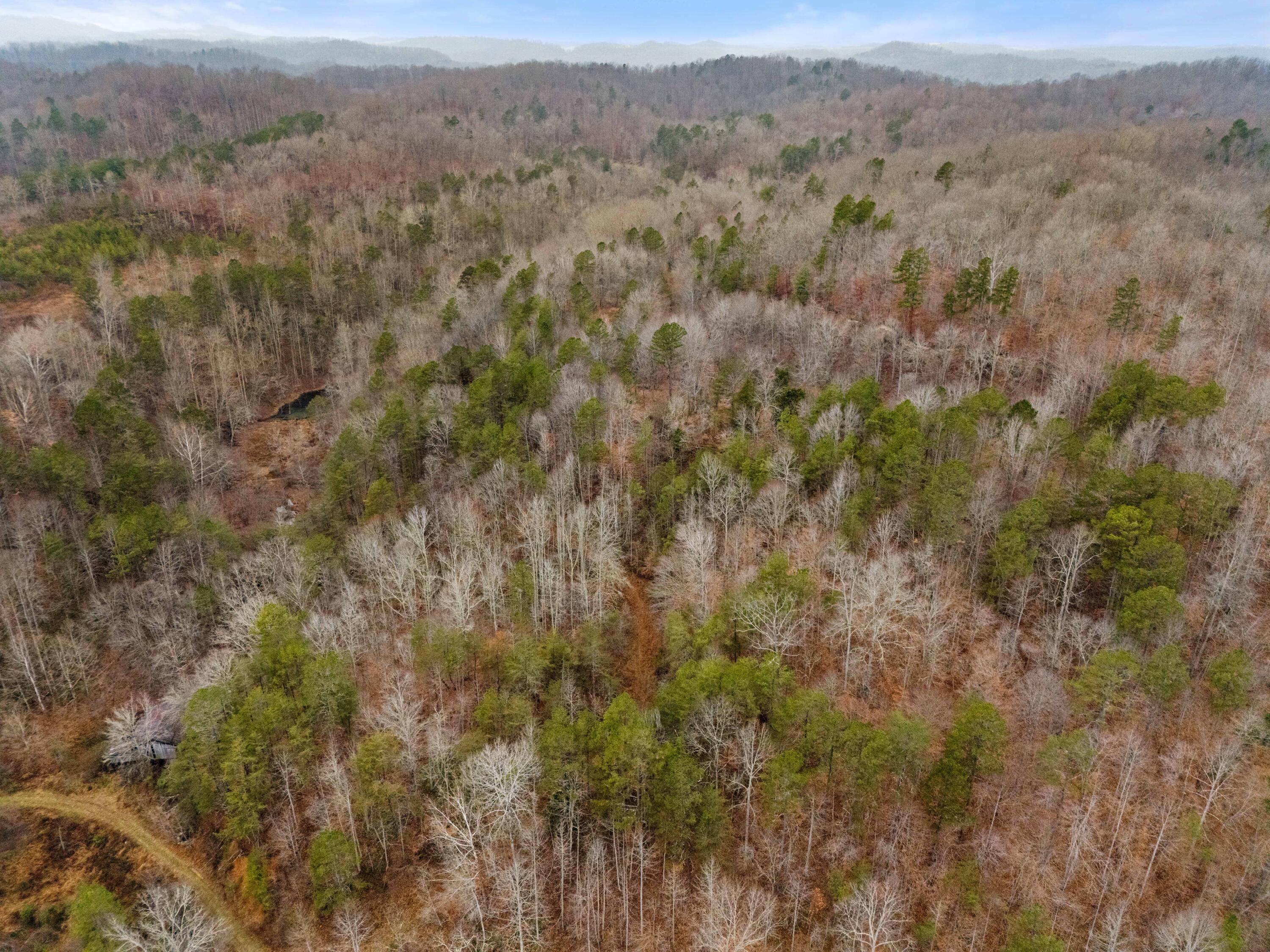 111 Baker Creek Road Property Photo 3