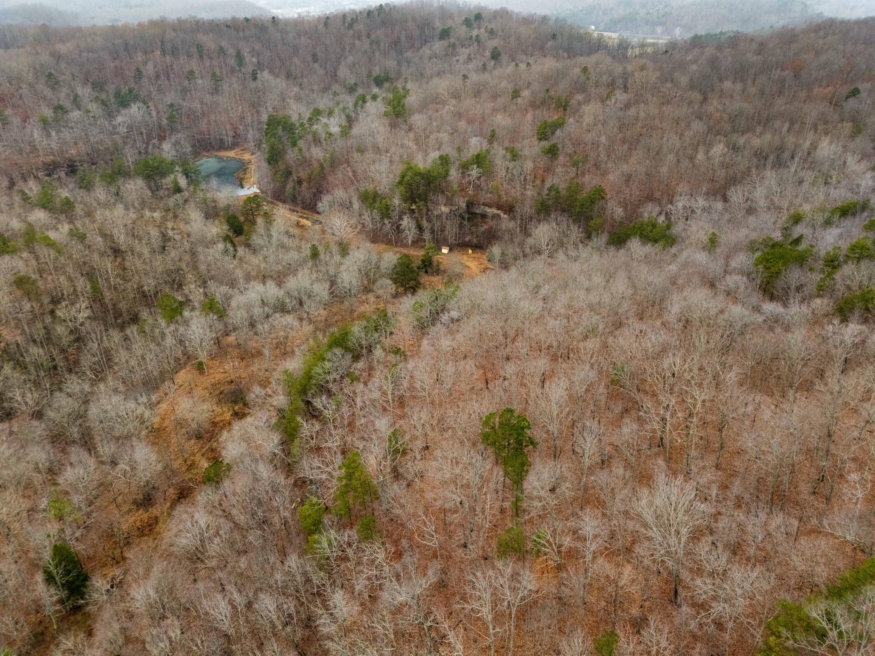 111 Baker Creek Road Property Photo 4