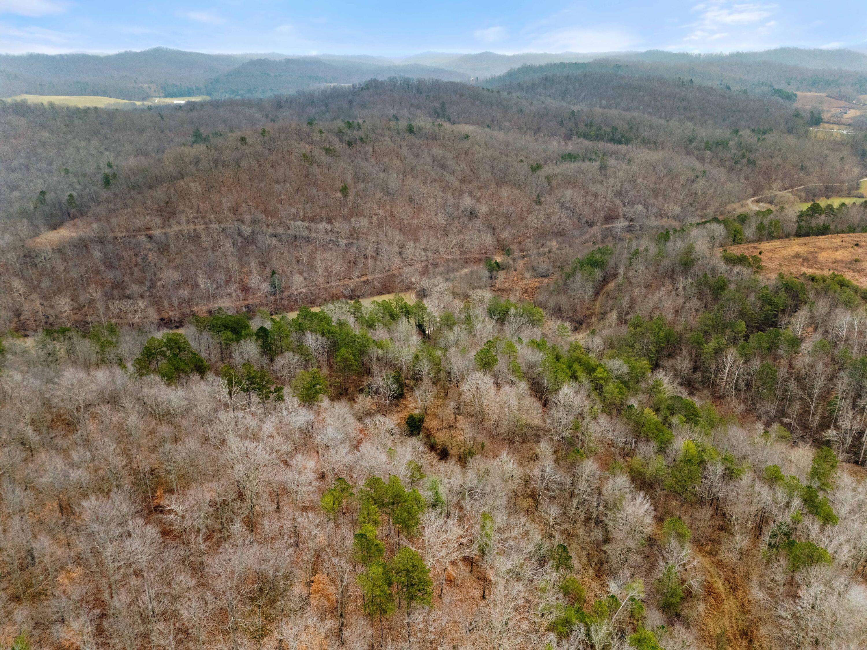 111 Baker Creek Road Property Photo 7
