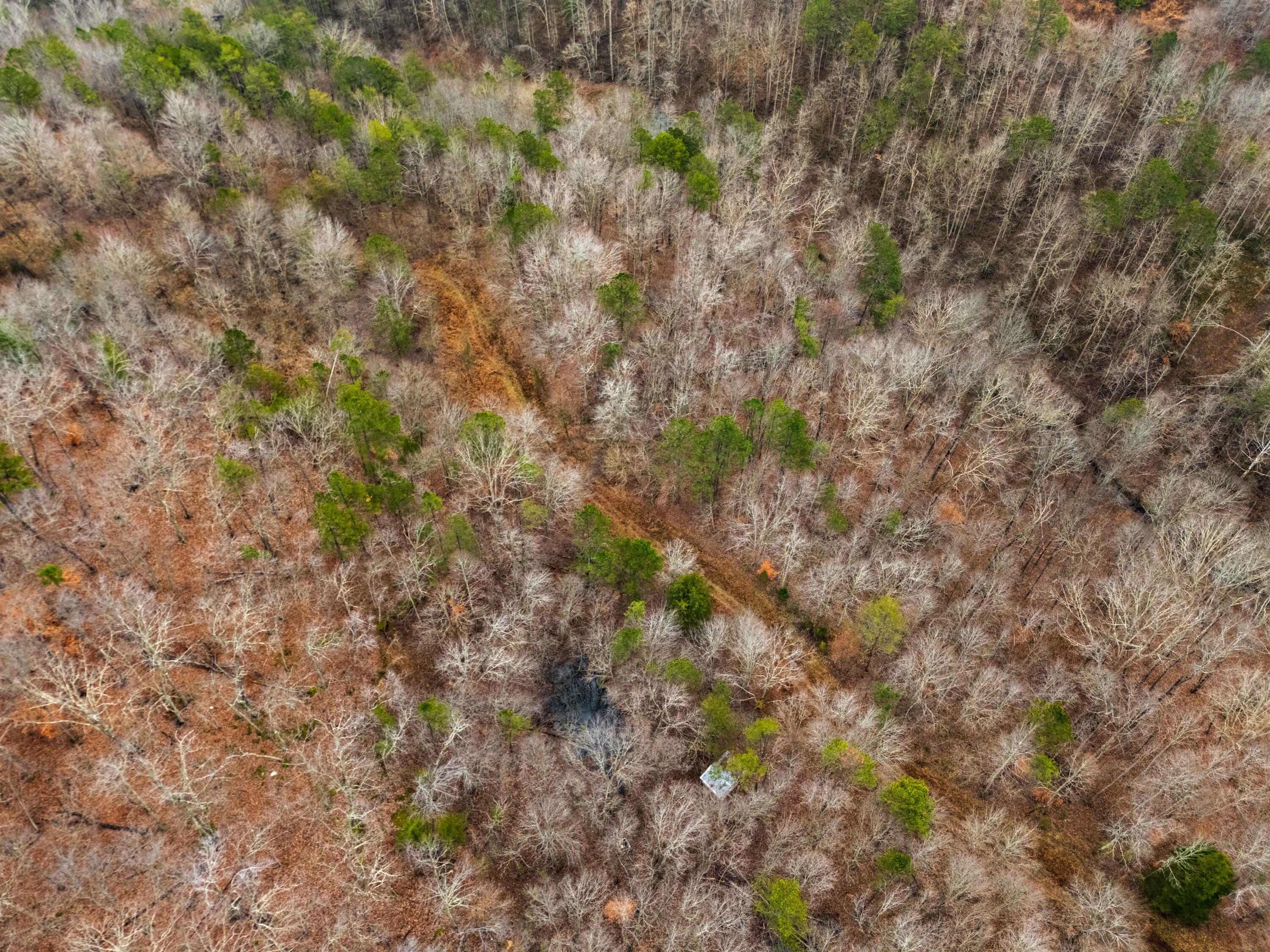 111 Baker Creek Road Property Photo 8