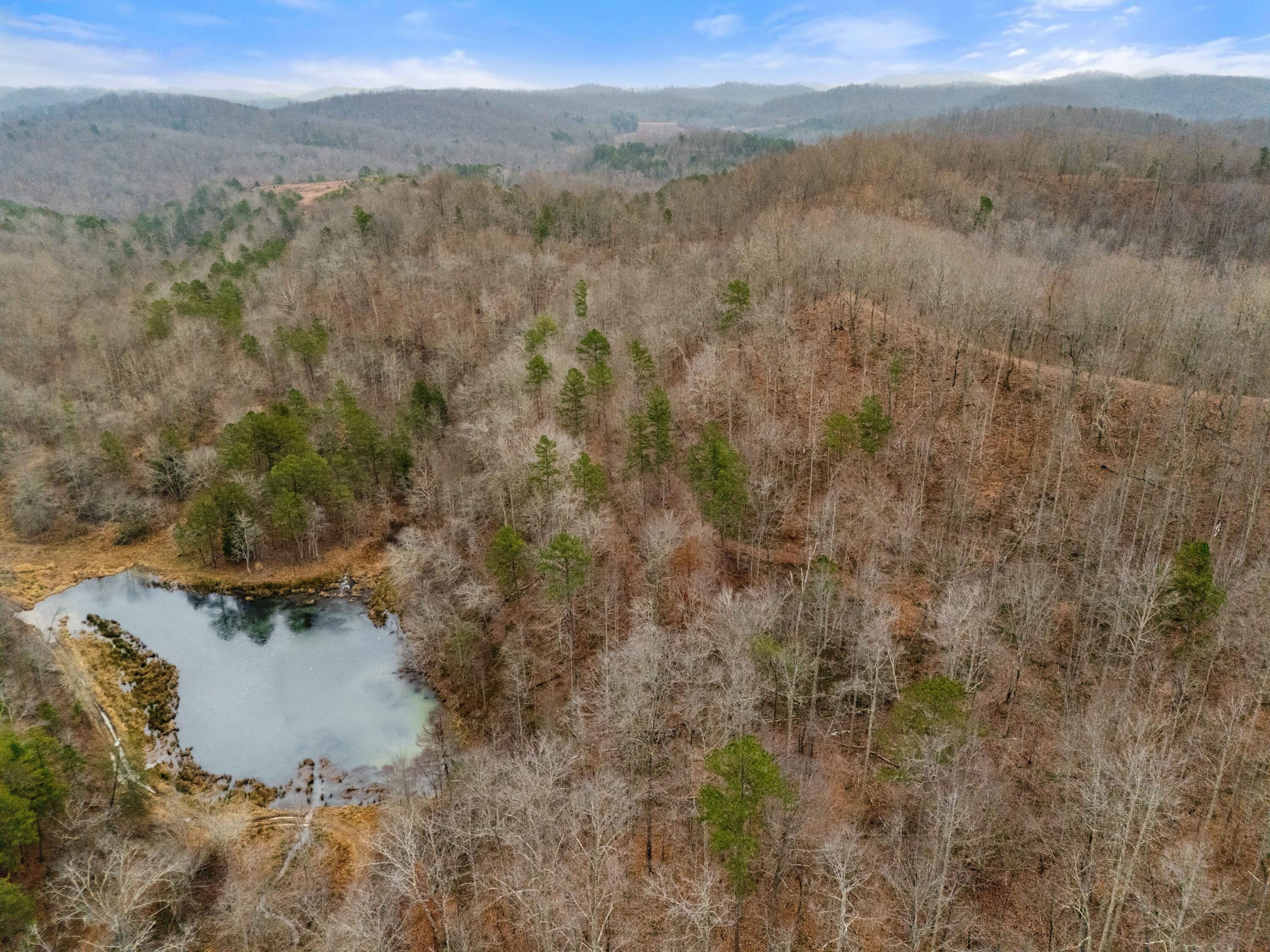 111 Baker Creek Road Property Photo 12