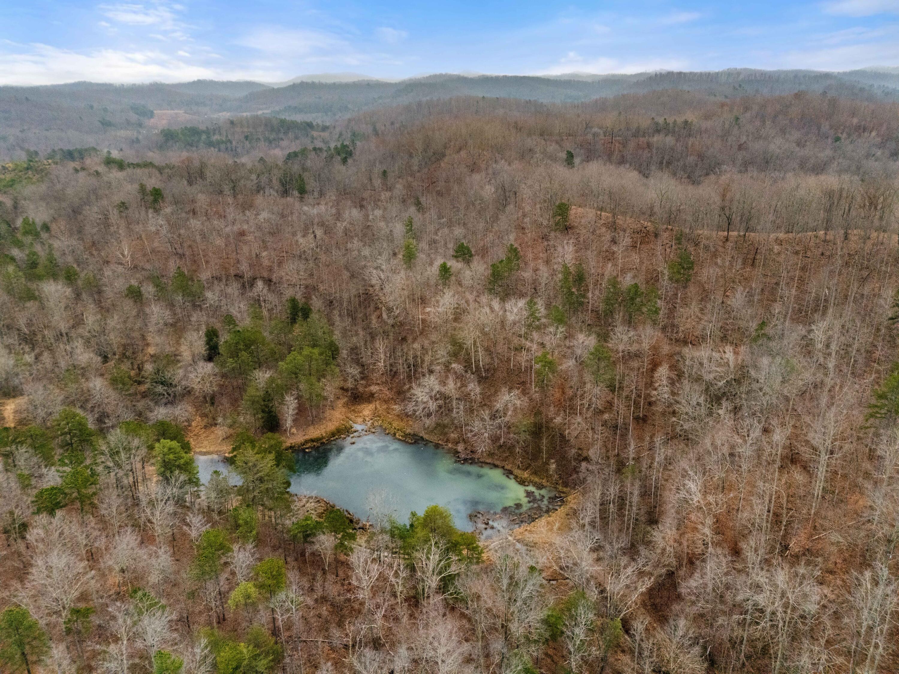111 Baker Creek Road Property Photo 13