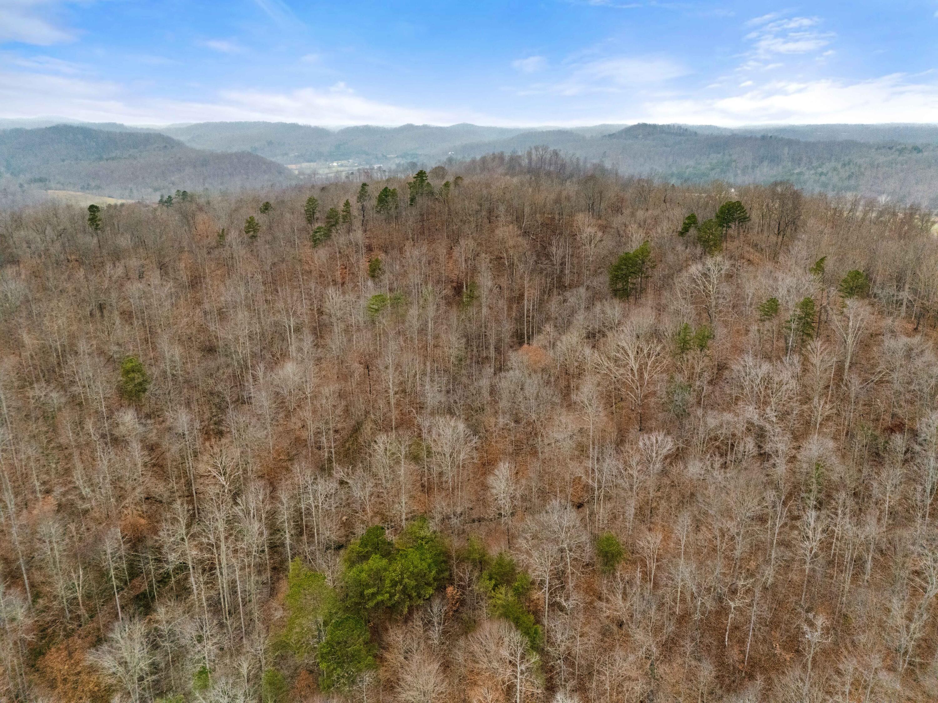 111 Baker Creek Road Property Photo 14
