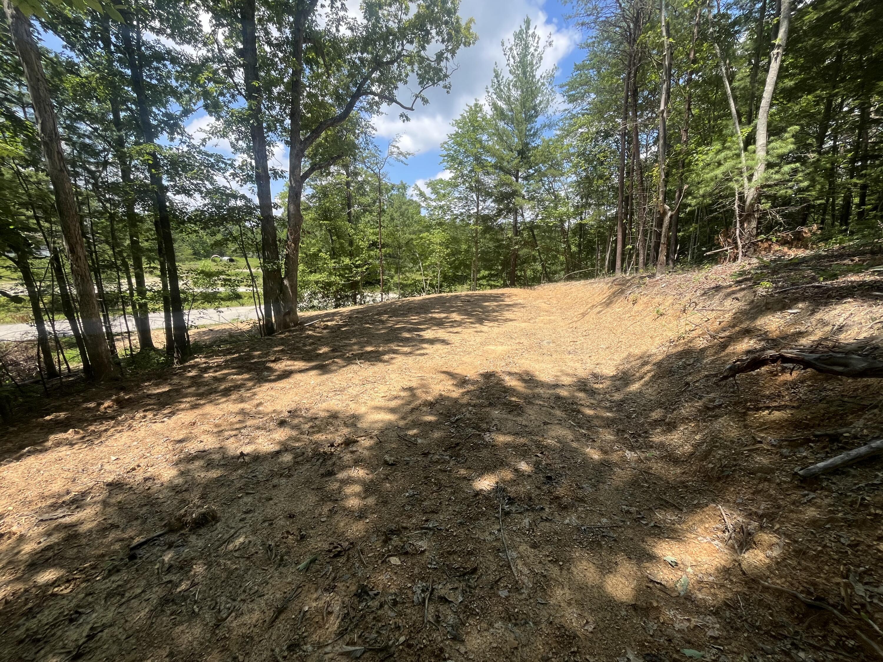 Lot #1j Ashland Camp Loop Zoe Ky Property Photo 3